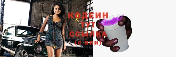 скорость Няндома