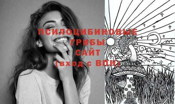 скорость Няндома